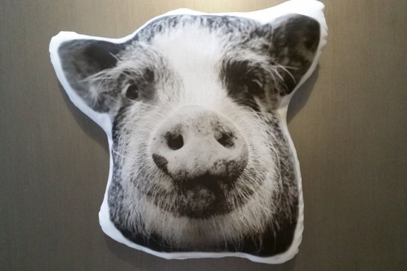 Custom Pet Pillow Animal Pet Pillow Photo Pet Pillow Pig
