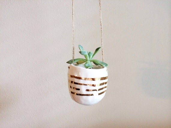 Hanging Planter with Gold Hanging Succulent by PotteryLodge