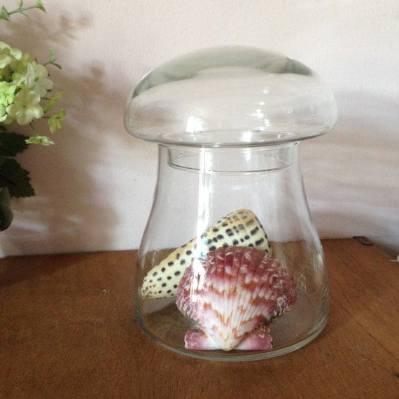 MUSHROOM SHAPE JAR Clear Glass Mushroom by AnnmarieFamilyTree