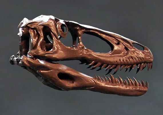 deinonychus fossil for sale