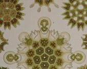 1899.HAECKEL:Antique print."Kunst Formen der Natur".First edition.MELETHALIA.Marine biology.Oceanography.Emblematic.14x10.5",or 36x27cm.