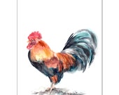 Rooster Watercolor Painting Art Print, Watercolour Art Rooster Watercolor Painting Art Print, Watercolour Art