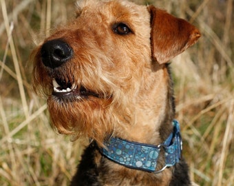 Blue bubbles martingale collar
