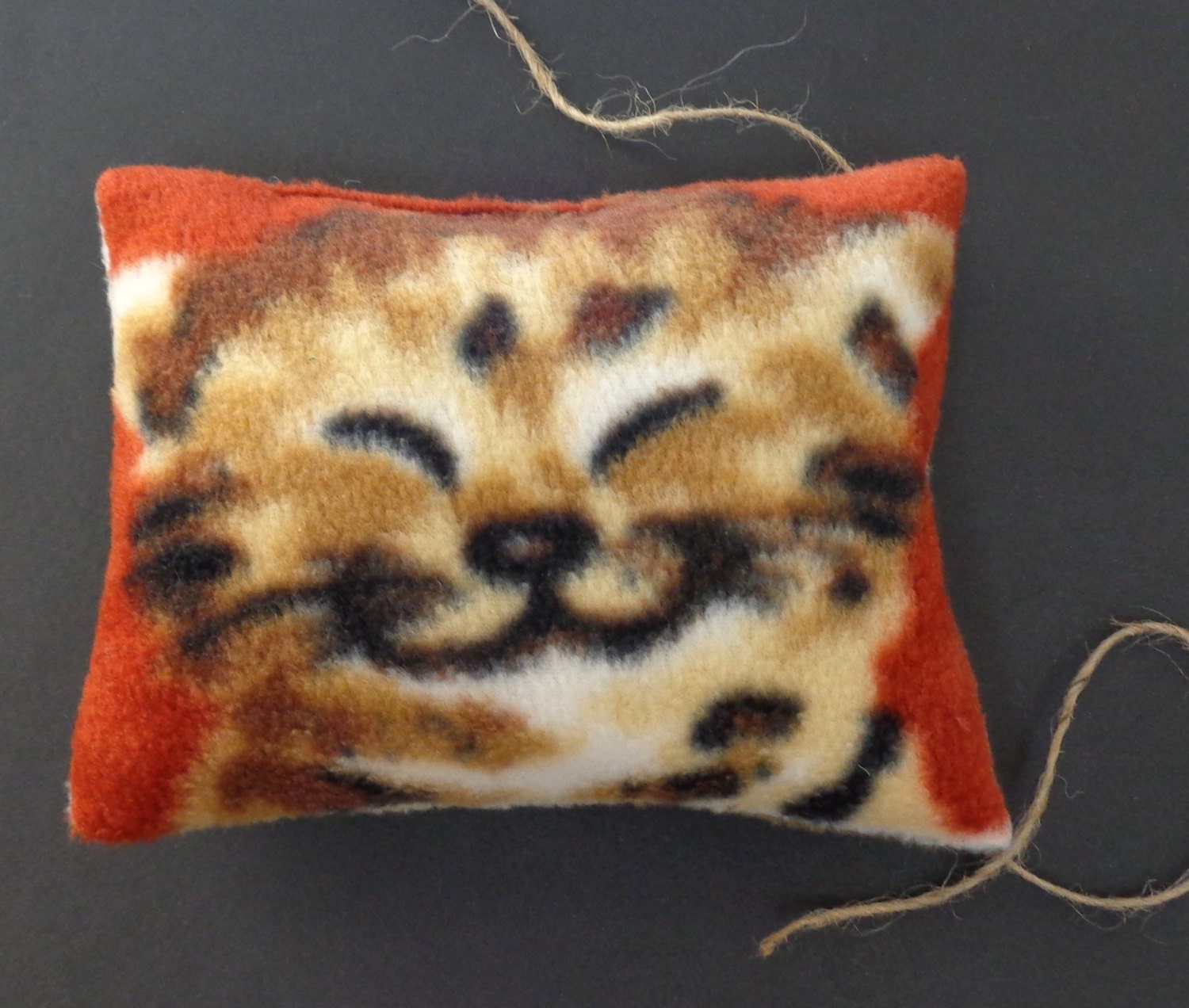 catnip pillow toy