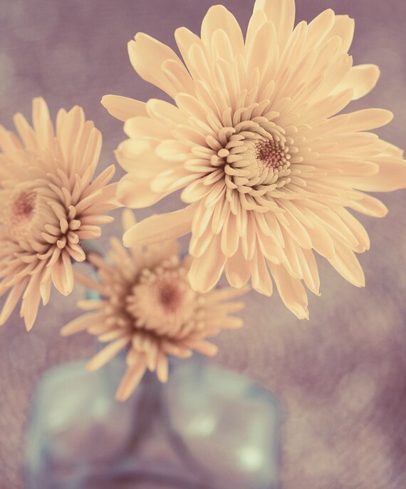 Yellow Flowers Flower Wall Art Muted by PaulaGoffPhotography