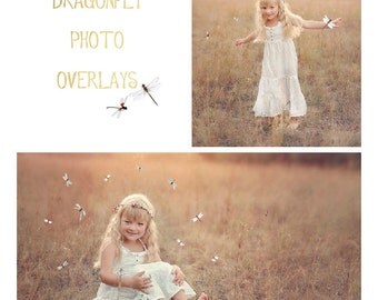 20 Dragonfly photo Overlays, photoshop overlays, png overlays, summer overlays, butterfly overlays