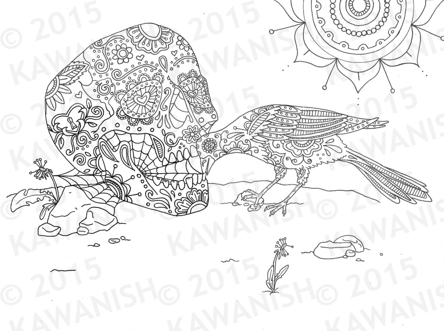 skull magpie bird mandala adult coloring page gift wall art