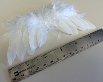 Angel Wings
