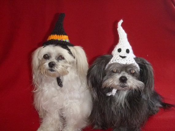 Dog or Cat Halloween WITCH or GHOST HAT Humorous Choose