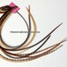Back to School Hair Accessories Sale Natural Feather Hair Extensions Bundle of 10 Cree Ginger Grizzly Brown Do It Yourself Hair Feathers Kit