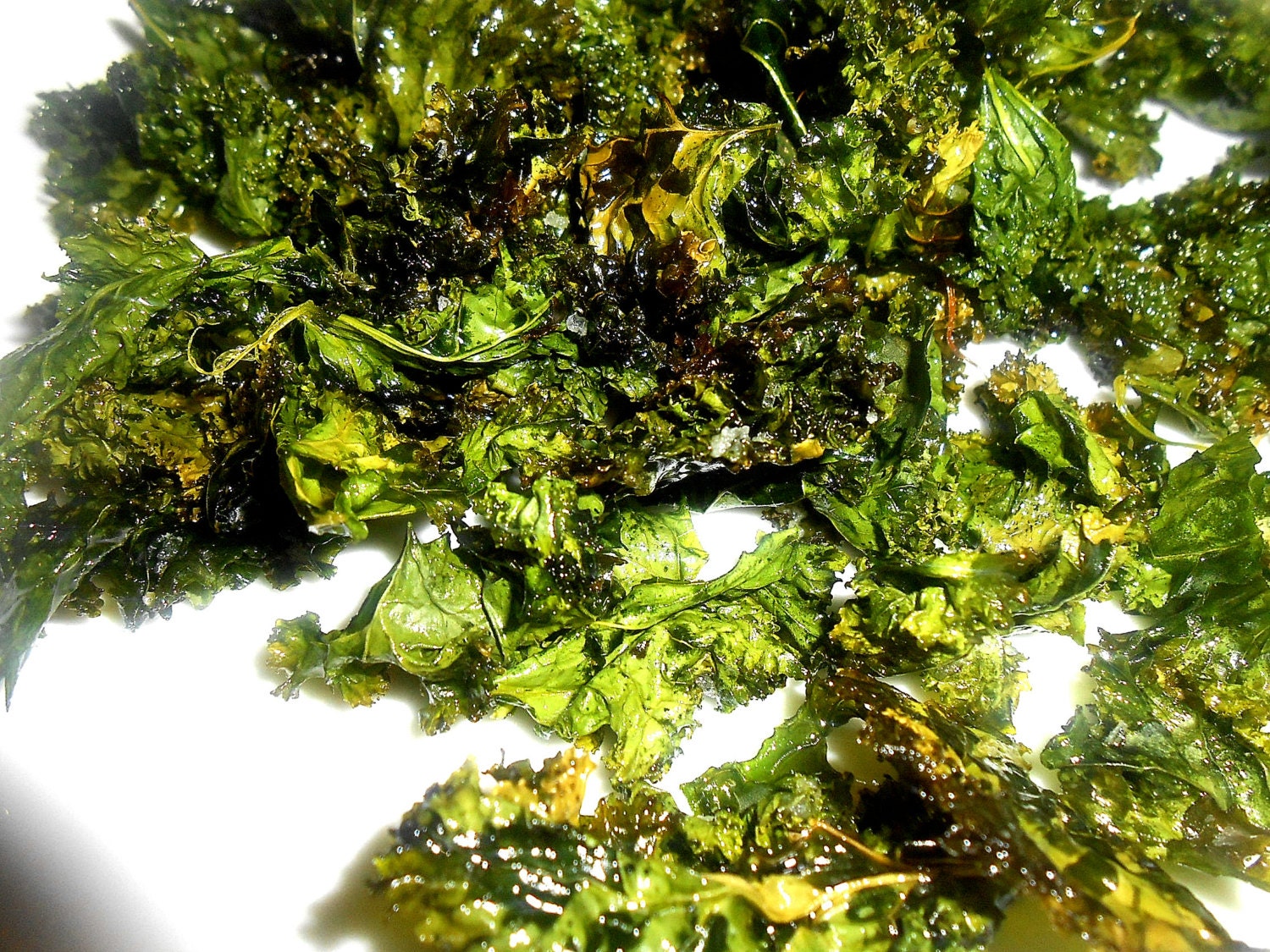 Organic WASABI Kale Chips SPICEY HOT Vegan Snack Pack