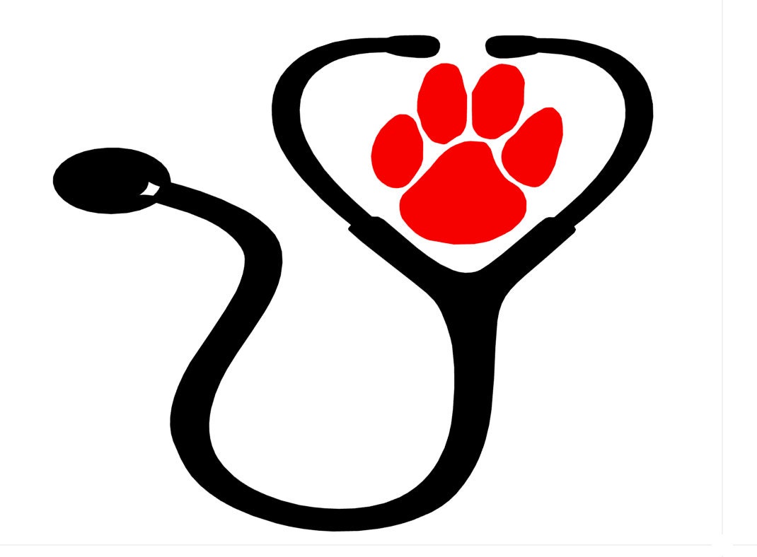 Free Free Paw Print Stethoscope Svg 772 SVG PNG EPS DXF File
