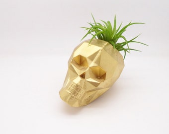 Geometric skull planter, mini air plant holder, mini skull planter
