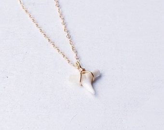 Real Shark Tooth Necklace