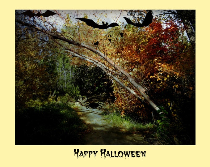HALLOWEEN GREETING CARDS created by Pam Ponsart of Pam's Fab Photos from her photography with digital enhancements; 2 styles