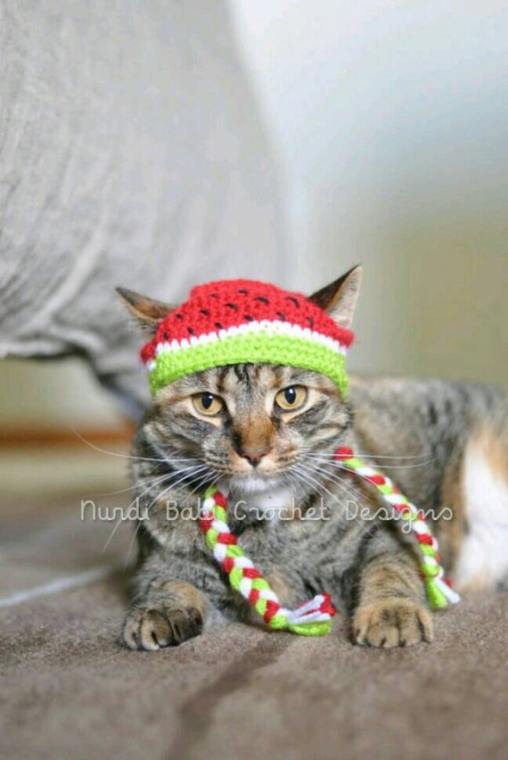 Cat Hat Watermelon Pet Hat Made to Order by NurdiBabiCrochet