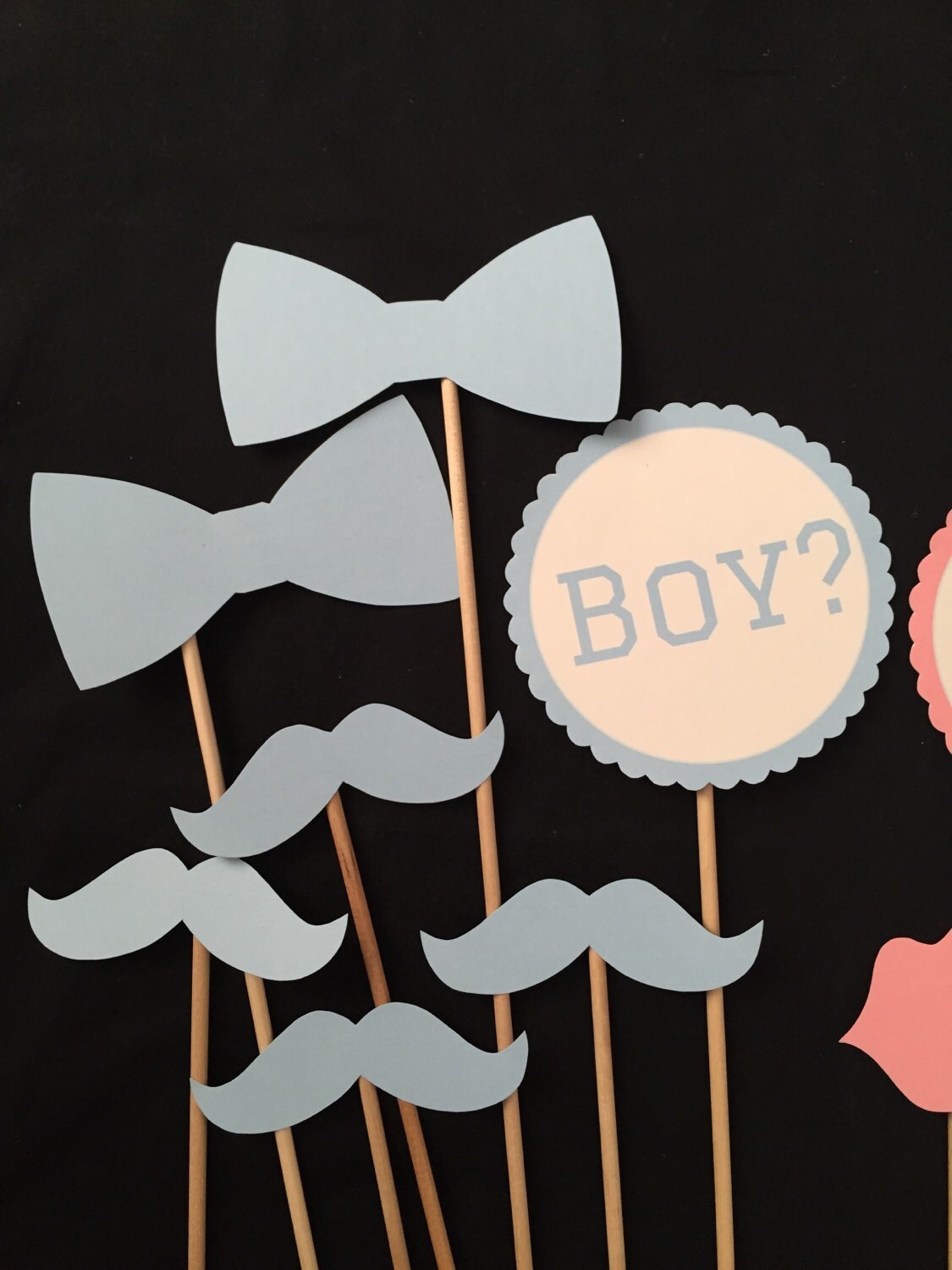 Gender Reveal Party Photo Booth Props