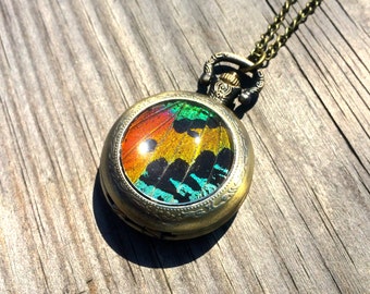 Real Sunset Moth Mechanical Pocket watch Necklace working Steampunk Pocketwatch moth patch preserved butterfly pressed butterfly rainbow