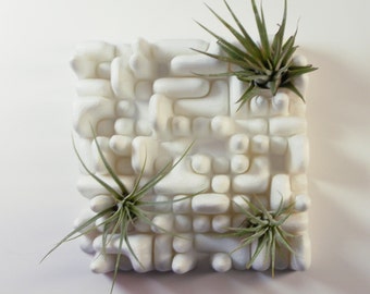Modern planters , Airplant Garden , 3D printed Planter , 3d printed vase , Wall planter , Quadradic Sound Diffuser , Air Plants Holder