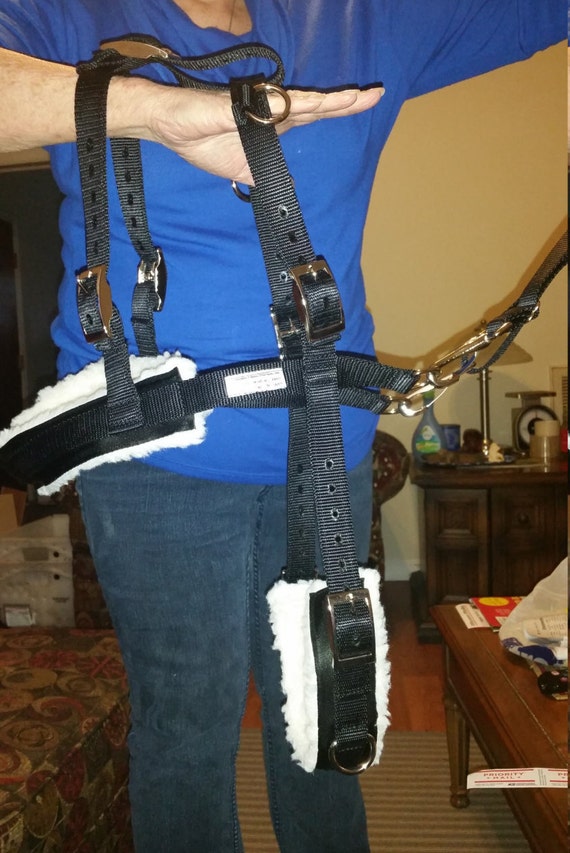 Carter Pet Supply Goat Pulling Harness USA Made Heavy Duty