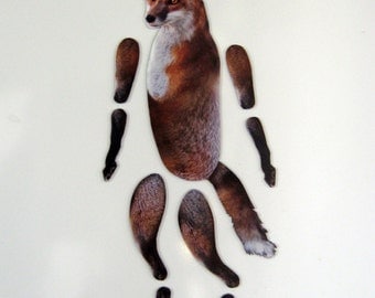 Fox Magnet, Movable Animal Magnet