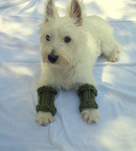 Dog Leg Warmers Dog Socks Dog Clothes Pet Clothes by SparklyTwig