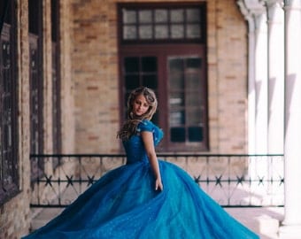 Cinderella Disney Dress - Costume / Cosplay Gown - 2015 Live Action Movie - Womens - Custom Size