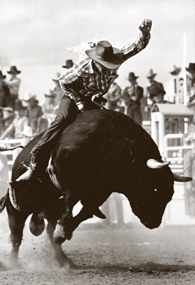 Vintage Rodeo poster Bucking Bull Bull Riding Honest