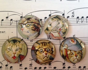 Set of 5 Glass Magnets, Fridge Magnets, Cute Cats!