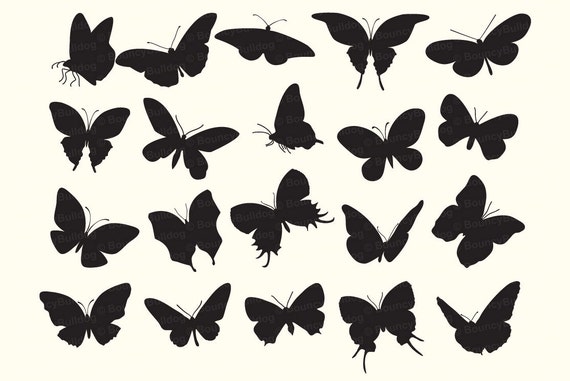 Download butterfly silhouettes digital butterflies VECTOR EPS butterfly