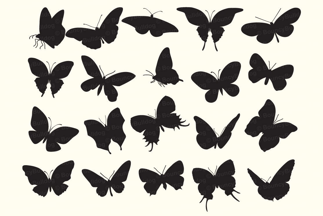 Download butterfly silhouettes digital butterflies VECTOR EPS ...