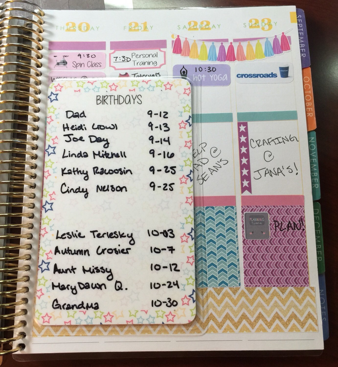 Laminated Birthday Planner Dashboard (Erin Condren) from PlanItOutLoud