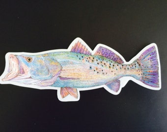 Rainbow Trout Window Decal