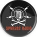 Spyrate Radio