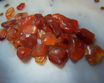 Carnelian Agate J by the gram - tiny tumbled chip pieces - vial necklace or inlay supplies - mosaic - small mini stones - Red Orange gemmy