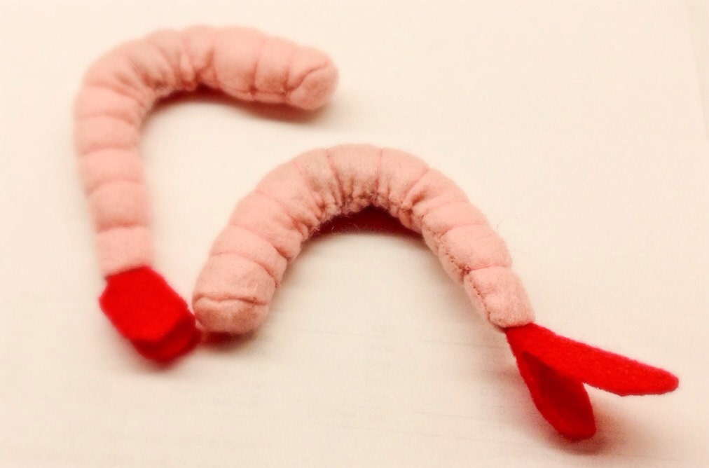 shrimp cat toy