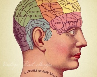 Phrenology head Art Scientific Illustration reproduction print 5x7 print Home Decor Naturalist Vintage psychology Room Decor