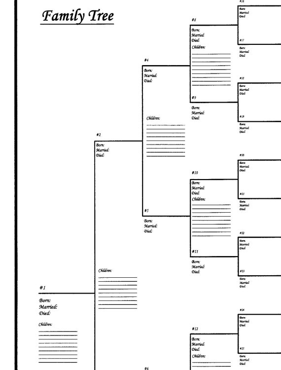 10 pack of Large Family Tree Charts Bracket Style 18 x