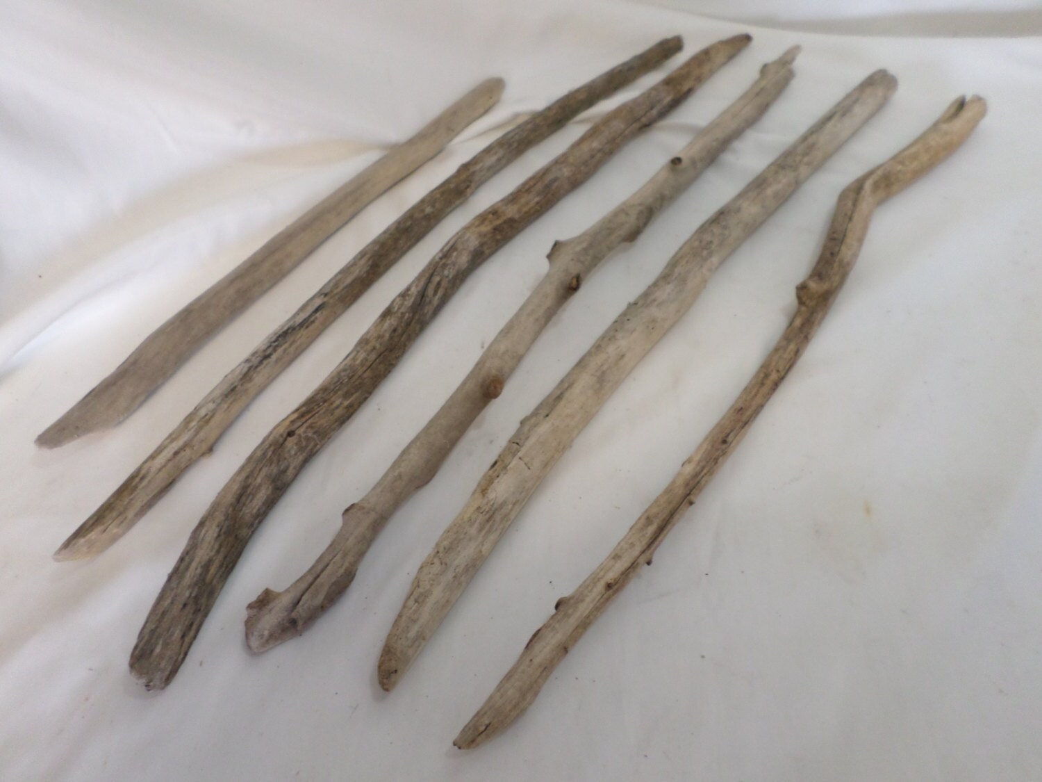 Driftwood Pieces Decorative Driftwood 6 by DiscountDriftwood