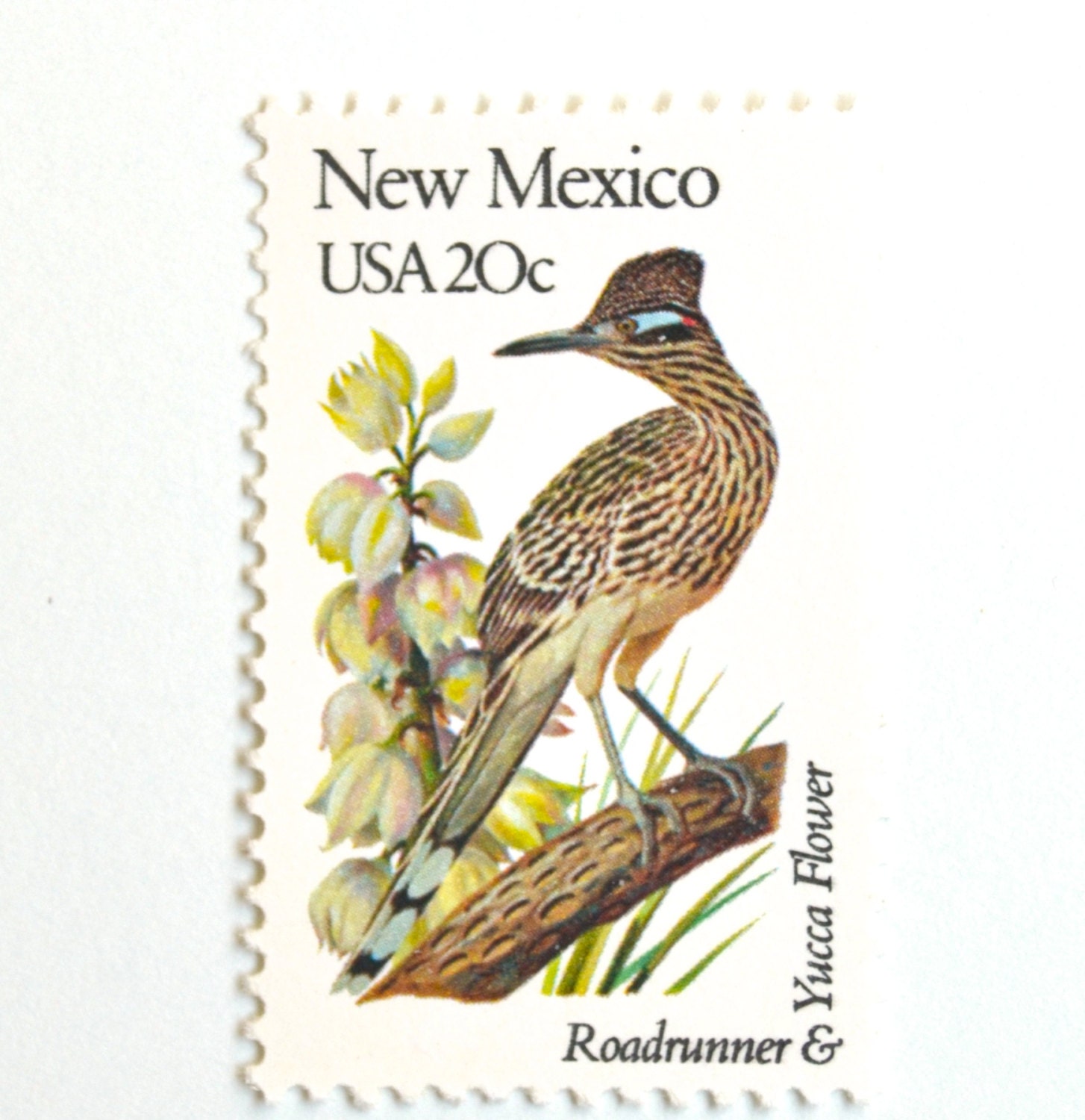 10 Unused New Mexico Vintage Postage Stamps // Roadrunner