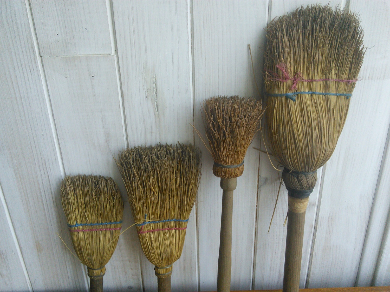 french broom