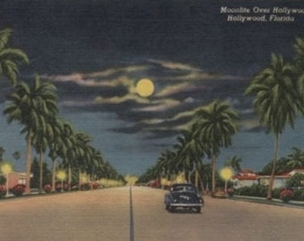 Hollywood, FL - Moonlight View over Hollywood Blvd. (Art Prints available in multiple sizes)