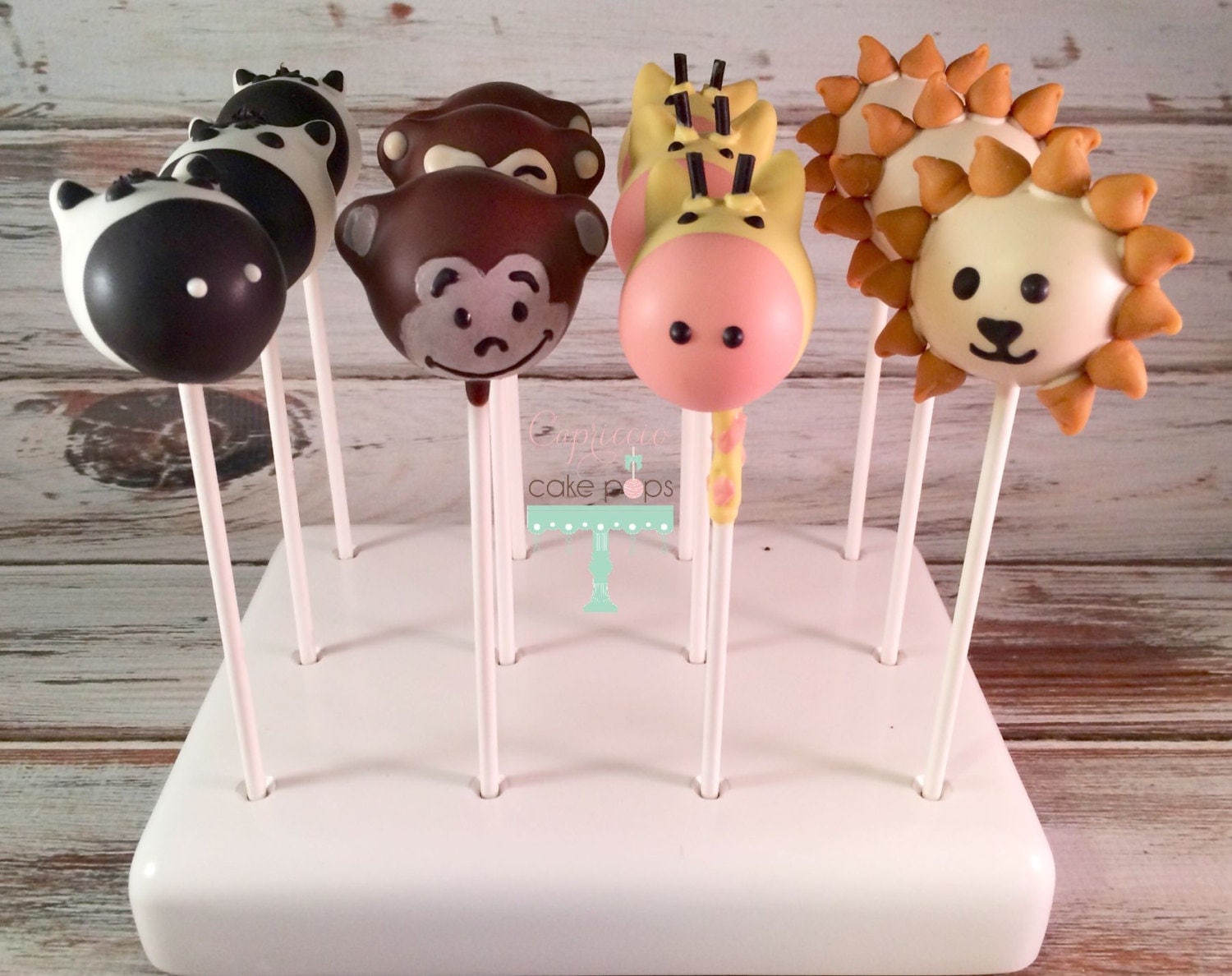 safari cake pops near me