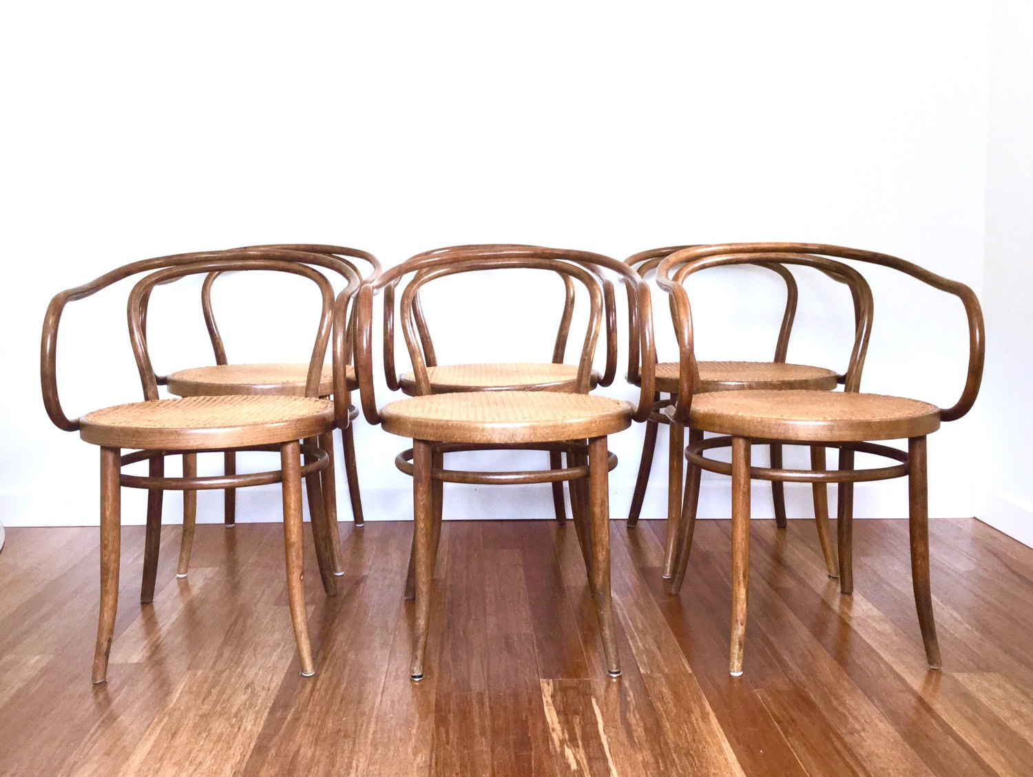 6 Thonet Stendig Bentwood Chairs, B9 Style Armchairs Cane Seats, Dining