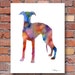 Whippet Art Print Abstract Watercolor Painting by 1GalleryAbove