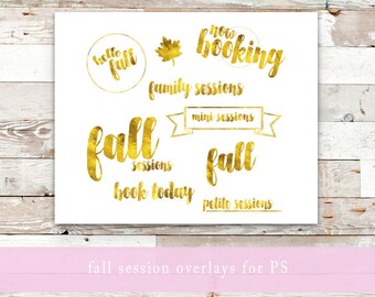 photoshop overlays, photographer overlays, gold photoshop overlays, fall photoshop overlays, photoshop overlays for photographers
