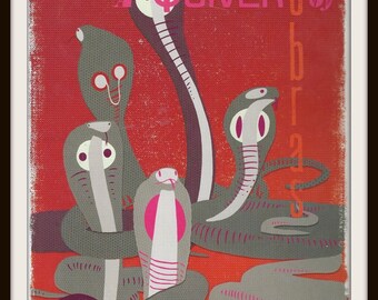 quiver meaning cobras