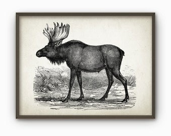 Moose wall art | Etsy