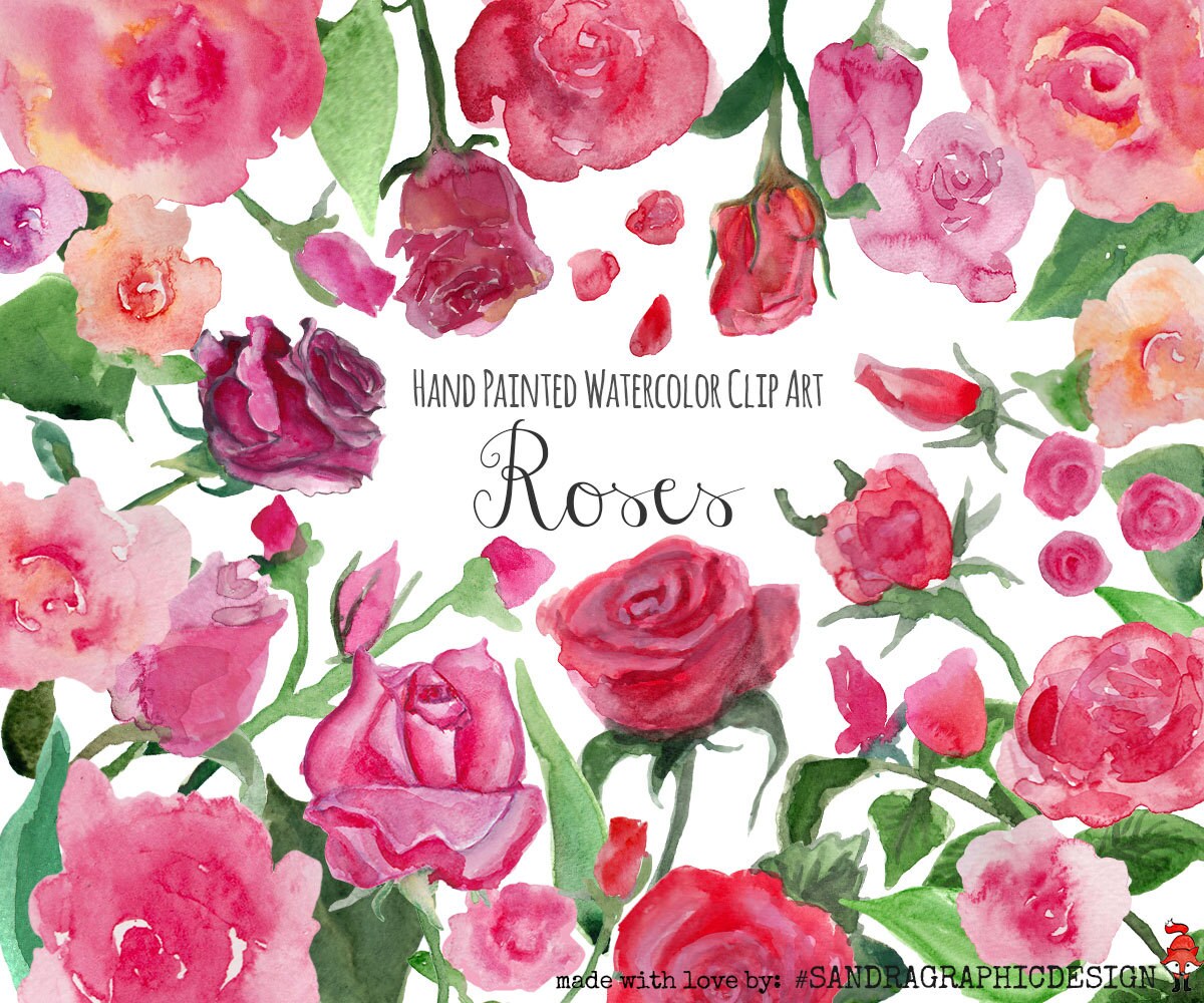 watercolor rose clipart - photo #14