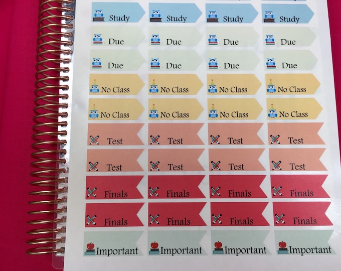 Back to School - College Flag Reminders Planner Stickers, Fits Erin Condren Life Planner